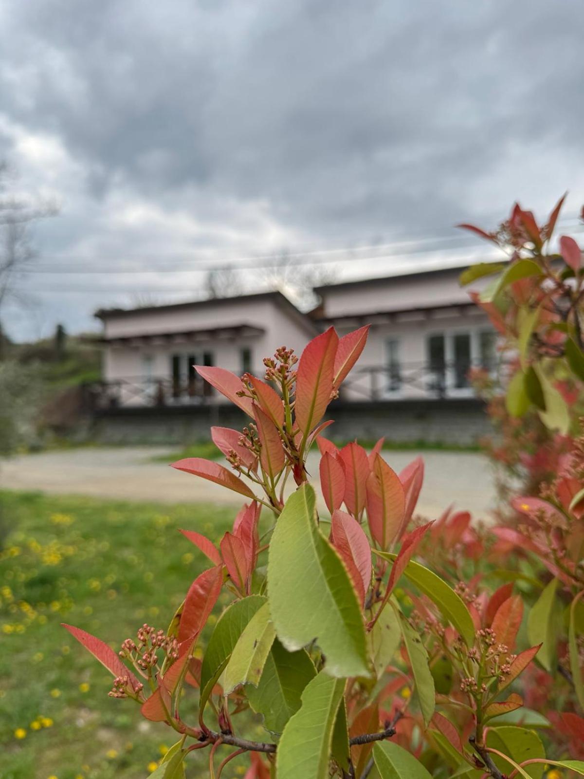 Bora Kuce Na Reci Villa Belgrade Exterior photo