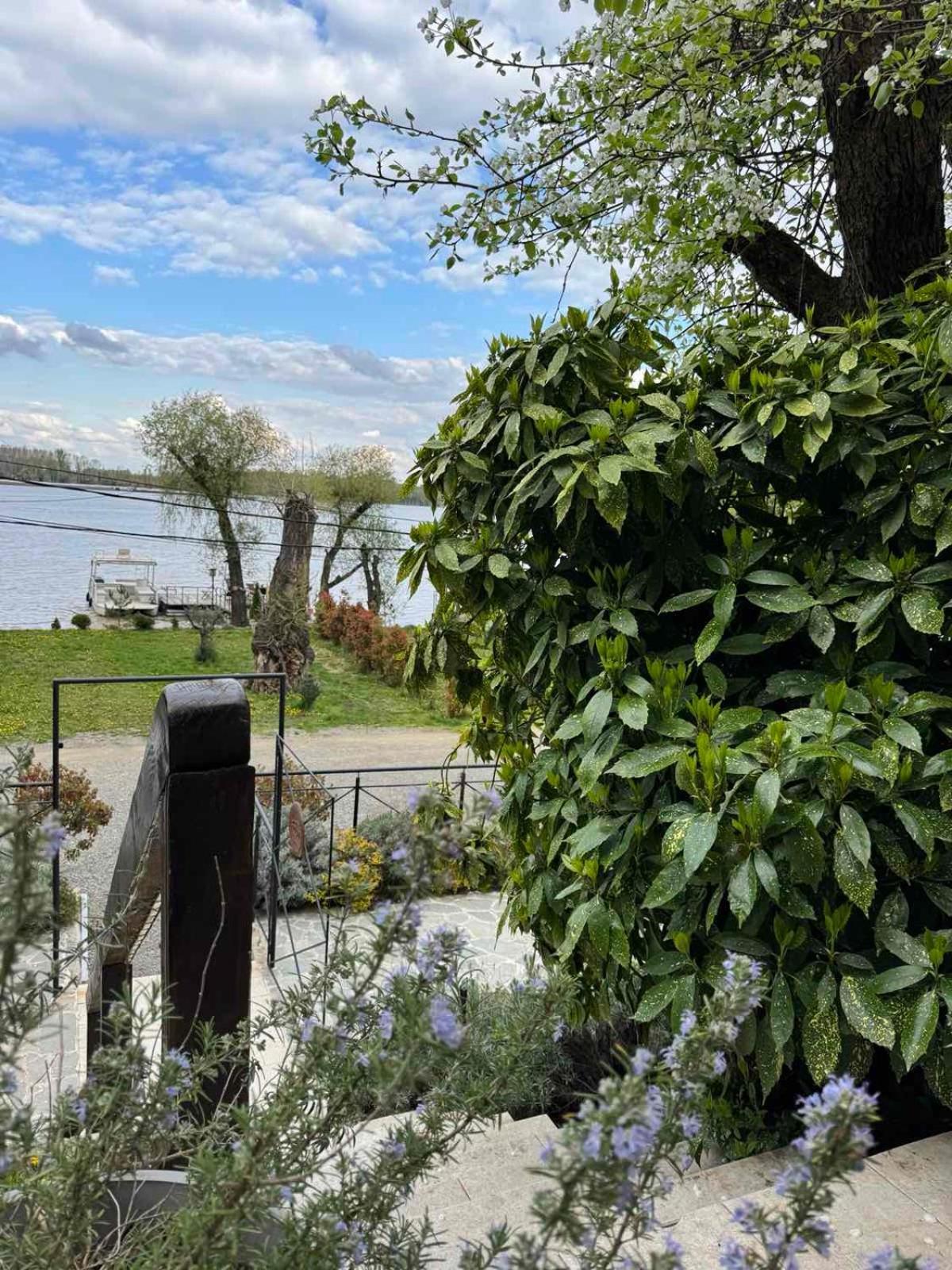 Bora Kuce Na Reci Villa Belgrade Exterior photo